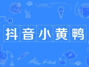 小黄鸭成人 app 下载——热门成人视频软件，满足你的所有需求