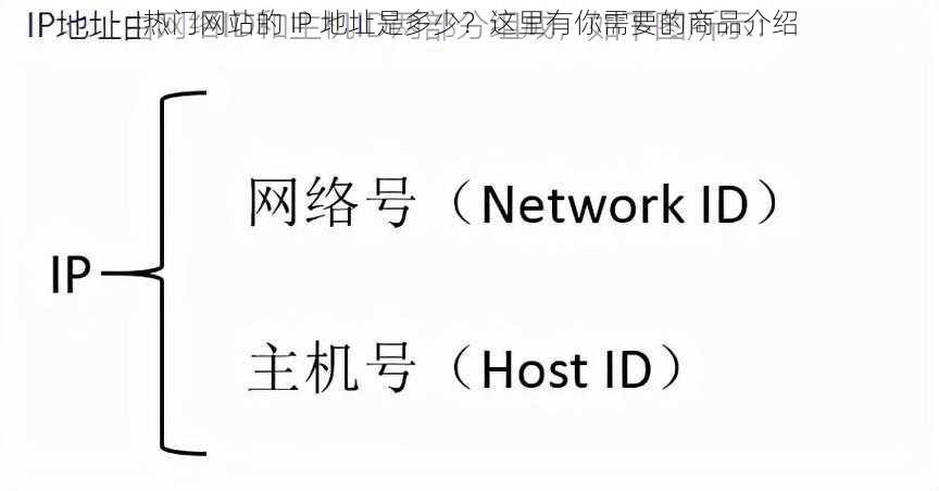 热门网站的 IP 地址是多少？这里有你需要的商品介绍