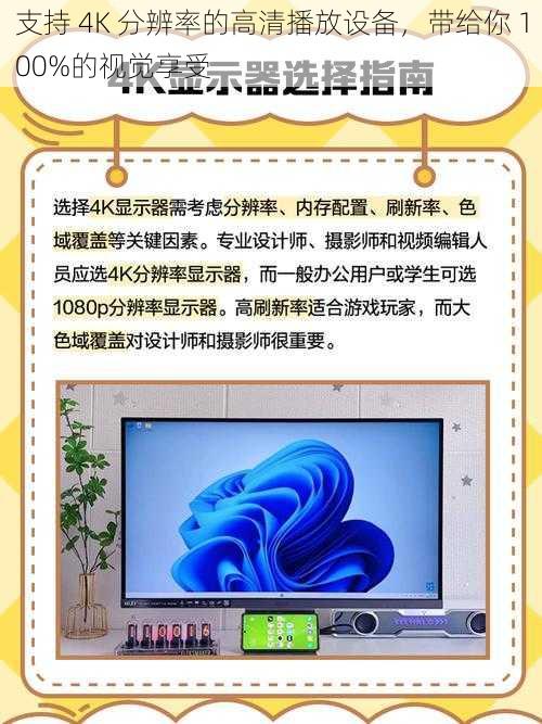 支持 4K 分辨率的高清播放设备，带给你 100%的视觉享受