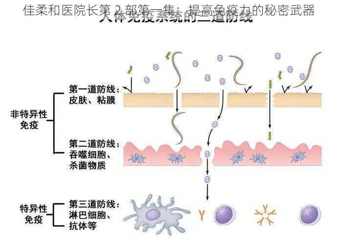 佳柔和医院长第 2 部第一集：提高免疫力的秘密武器