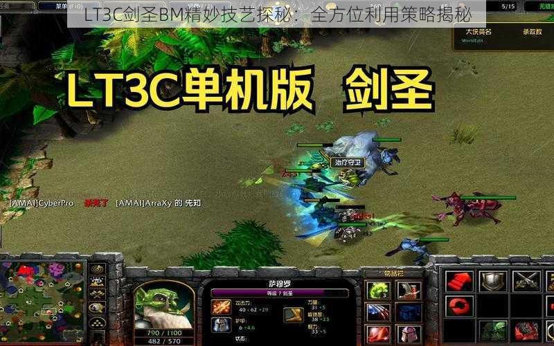 LT3C剑圣BM精妙技艺探秘：全方位利用策略揭秘